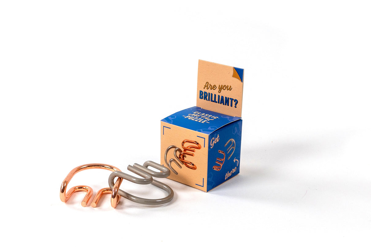 RECENT TOYS Loogikamäng "Are You Series"