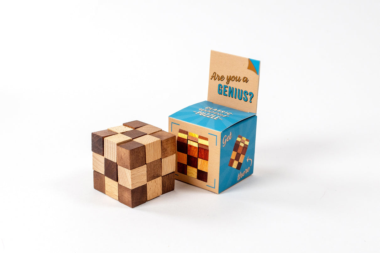 RECENT TOYS Loogikamäng "Are You Series"