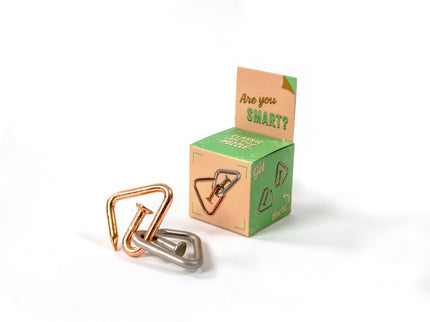 RECENT TOYS Loogikamäng "Are You Series"