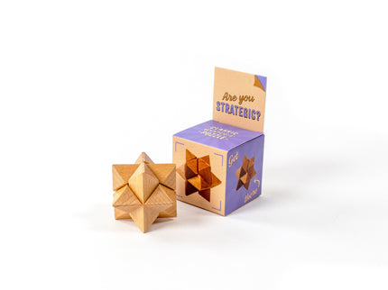 RECENT TOYS Loogikamäng "Are You Series"