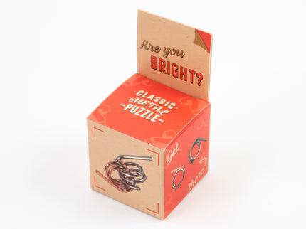 RECENT TOYS Loogikamäng "Are You Series"