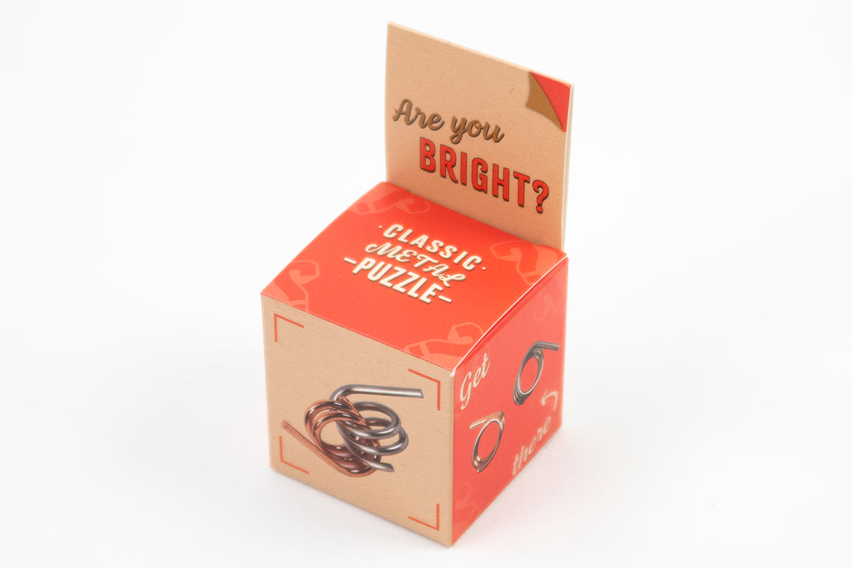 RECENT TOYS Loogikamäng "Are You Series"