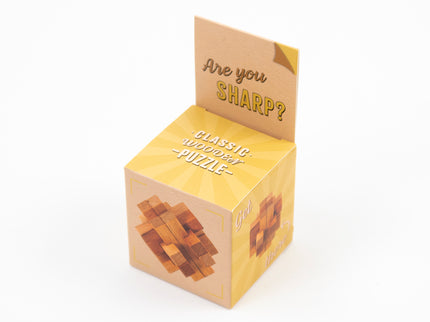 RECENT TOYS Loogikamäng "Are You Series"