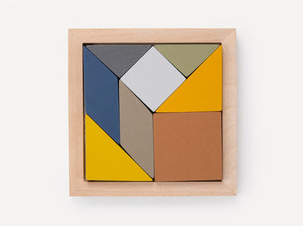 RECENT TOYS loogikamäng Tangram
