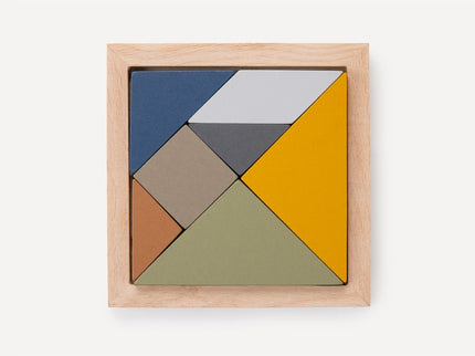 RECENT TOYS loogikamäng Tangram