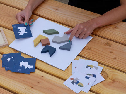 RECENT TOYS loogikamäng Tangram