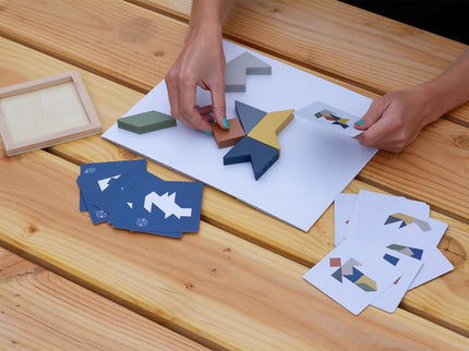 RECENT TOYS loogikamäng Tangram