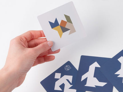 RECENT TOYS loogikamäng Tangram