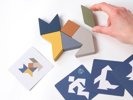 RECENT TOYS loogikamäng Tangram