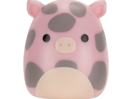 SQUISHMALLOWS SQUISH-A-LONGS minifiguuride komplekt pimepakis, 2 tk, 2,5 cm