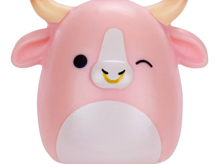 SQUISHMALLOWS SQUISH-A-LONGS minifiguuride komplekt pimepakis, 2 tk, 2,5 cm