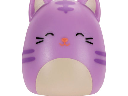 SQUISHMALLOWS SQUISH-A-LONGS minifiguuride komplekt pimepakis, 2 tk, 2,5 cm