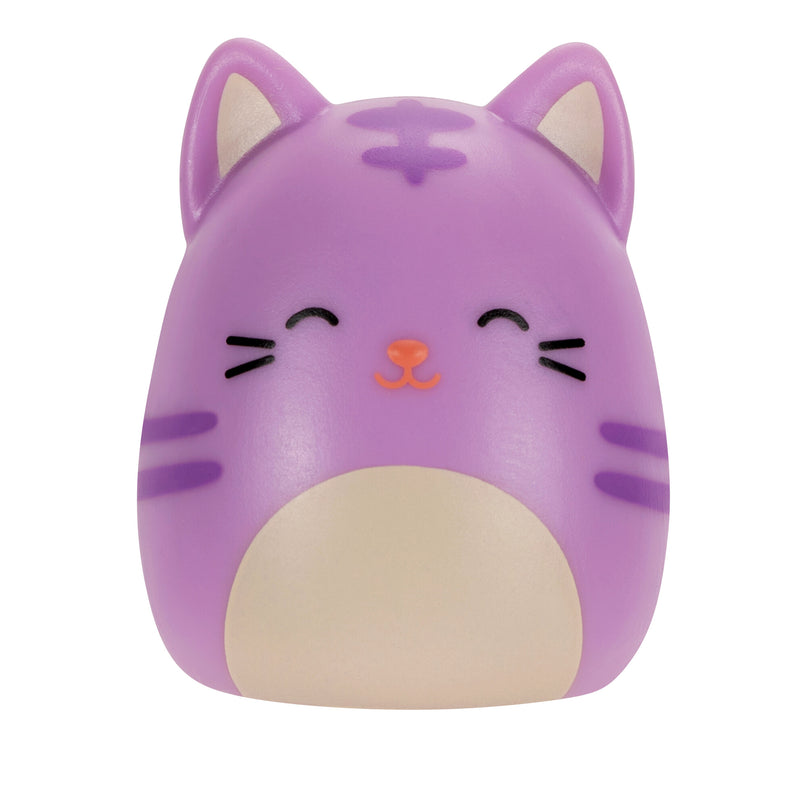 SQUISHMALLOWS SQUISH-A-LONGS minifiguuride komplekt pimepakis, 2 tk, 2,5 cm