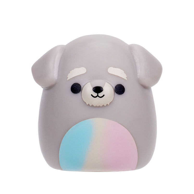 SQUISHMALLOWS SQUISH-A-LONGS minifiguuride komplekt pimepakis, 2 tk, 2,5 cm