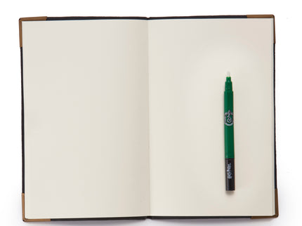 HARRY POTTER Tom Riddle'i Päevik