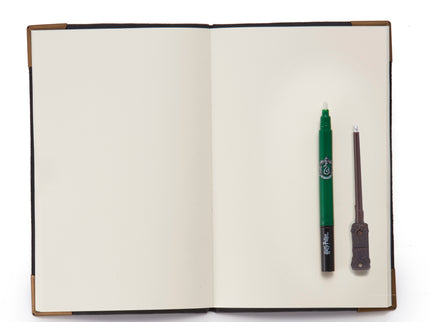 HARRY POTTER Tom Riddle'i Päevik