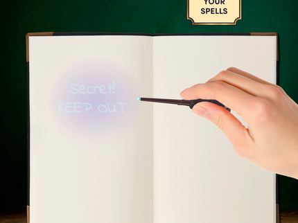 HARRY POTTER Tom Riddle'i Päevik