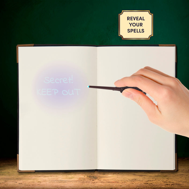 HARRY POTTER Tom Riddle'i Päevik