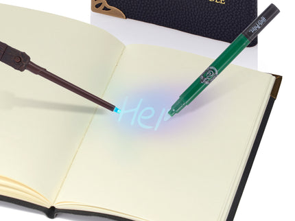 HARRY POTTER Tom Riddle'i Päevik