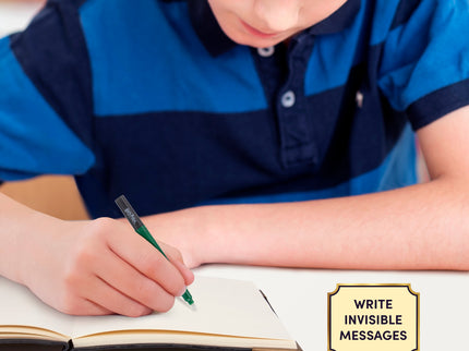 HARRY POTTER Tom Riddle'i Päevik