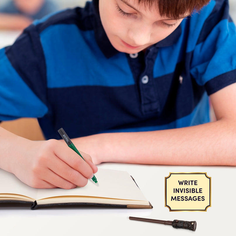 HARRY POTTER Tom Riddle'i Päevik