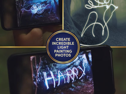 HARRY POTTER Tom Riddle'i Päevik