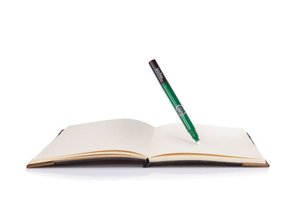 HARRY POTTER Tom Riddle'i Päevik