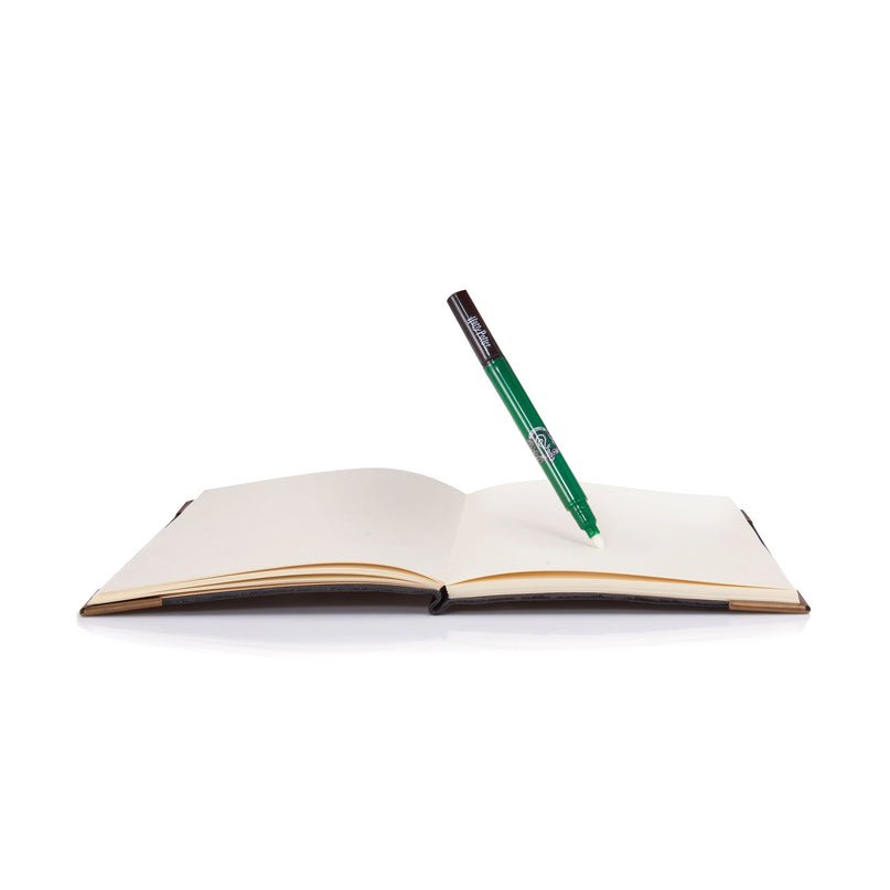 HARRY POTTER Tom Riddle'i Päevik