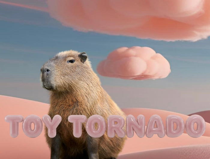 <h3><strong>JÕULURÕÕMU TORNAADO</strong></h3>